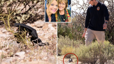 Мистериозна црна рукавица пронађена у близини куће Ненси Гатри могла би да садржи кључне ДНК доказе: бивши агент ФБИ