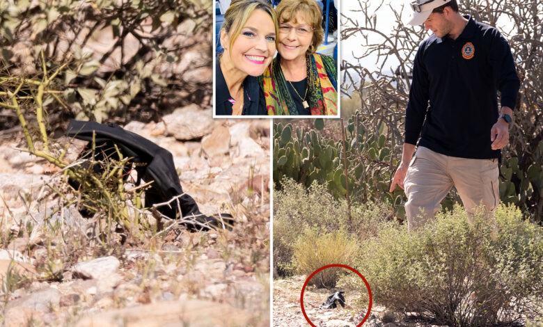 Мистериозна црна рукавица пронађена у близини куће Ненси Гатри могла би да садржи кључне ДНК доказе: бивши агент ФБИ