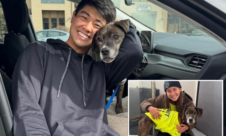 Пас који је улетео у планине у Колораду поново се ујединио са власником после 43 дана у дивљини