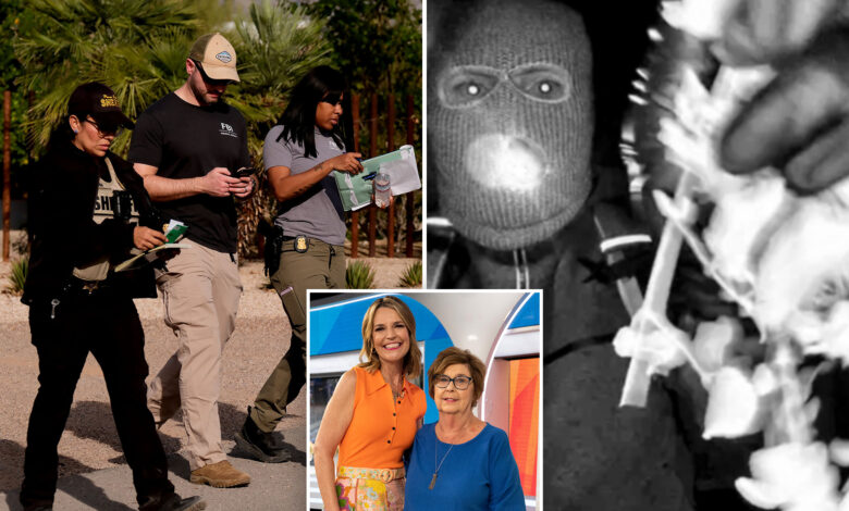 Комшиница Ненси Гатри видела је сумњивог младића како хода у заједници недељама пре нестанка — ‘једноставно се није уклапао’