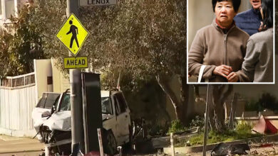 Старија жена из Калифорније која је фатално прегазила четворочлану породицу, вероватно ће избећи затворску казну