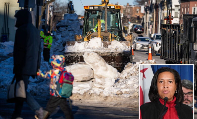 „Демс забринути због погрешног леда“
