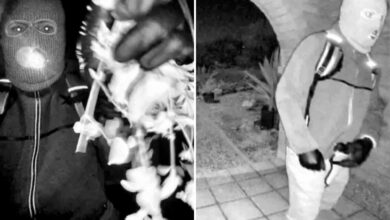 Кључни докази у случају Ненси Гатри који показују да осумњичени киднапер није ‘обучени убица’: бивши специјални агент ФБИ-а