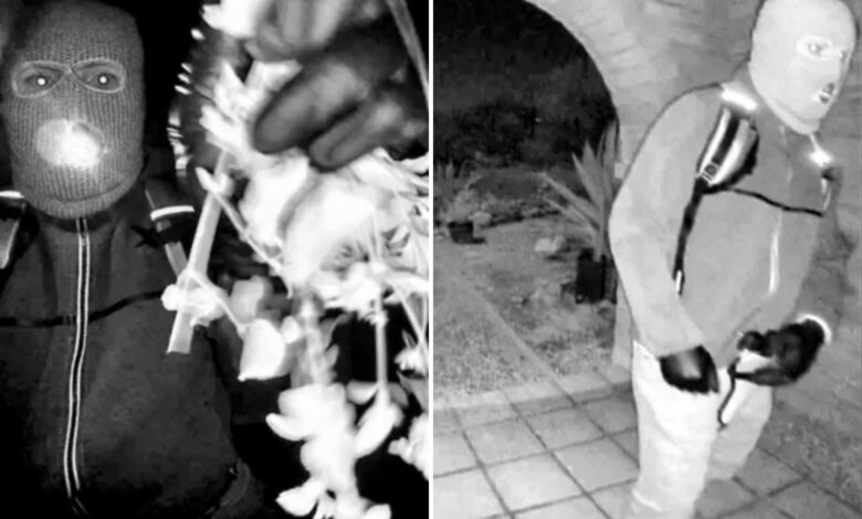 Кључни докази у случају Ненси Гатри који показују да осумњичени киднапер није ‘обучени убица’: бивши специјални агент ФБИ-а