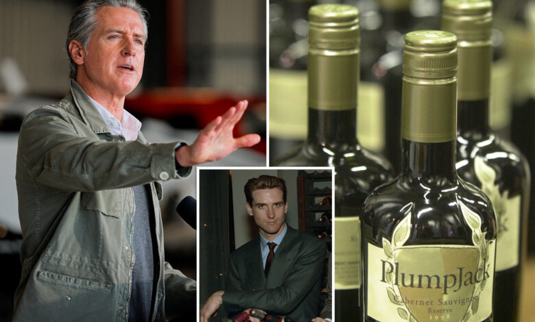 Гевин Њусом је потрошио донаторски новац у сопственом винском бизнису: поднесци