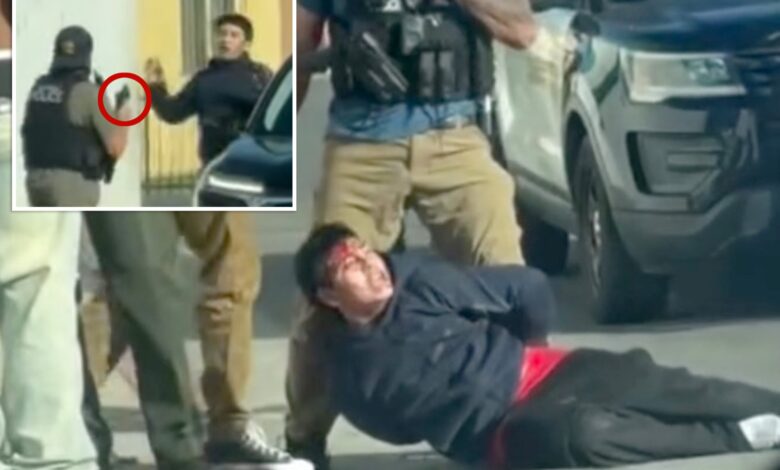 Проматрачи су заменили полицију за ИЦЕ током уклањања осумњичених тинејџера