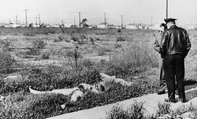 Убиство црне Далије остаје нерешена опсесија – 79 година касније