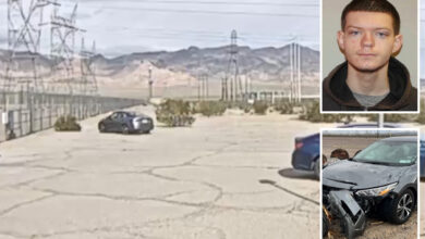 Возач ударио ЛАДВП подстаницу у могућем „догађају повезаном са тероризмом“ Возач ударио ЛАДВП подстаницу у могућем „догађају повезаном са тероризмом“