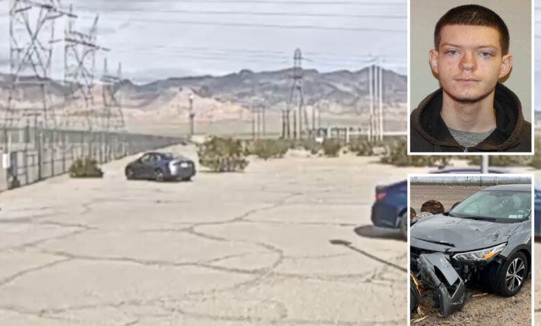 Возач ударио ЛАДВП подстаницу у могућем „догађају повезаном са тероризмом“