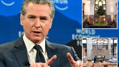 Њусомов излет у Немачку финансира мало позната непрофитна организација Њусомов излет у Немачку финансира мало позната непрофитна организација