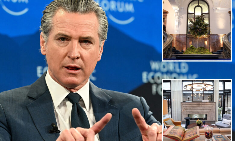 Њусомов излет у Немачку финансира мало позната непрофитна организација