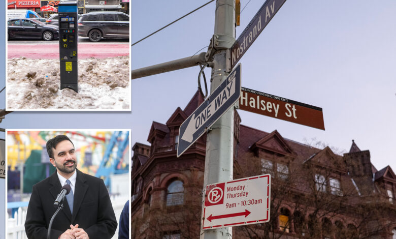 Више паркинг мерача у Њујорку могло би да заради милијарду долара, каже Мамдани – док локално становништво покушава да узме новац