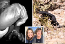 Откривени резултати ДНК из рукавице пронађене у близини куће Ненси Гатри