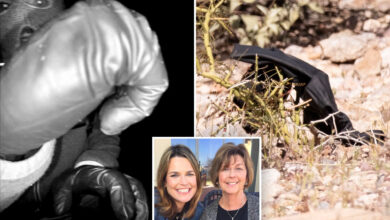 Откривени резултати ДНК из рукавице пронађене у близини куће Ненси Гатри Откривени резултати ДНК из рукавице пронађене у близини куће Ненси Гатри