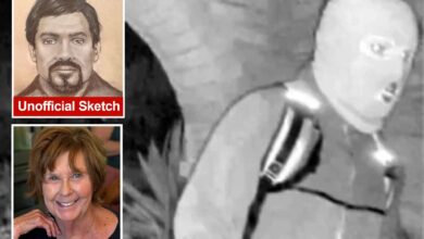 Форензичка уметница Лоис Гибсон објављује скицу осумњичене Ненси Гатри