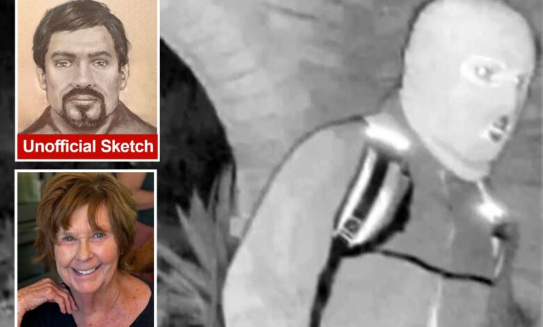 Форензичка уметница Лоис Гибсон објављује скицу осумњичене Ненси Гатри