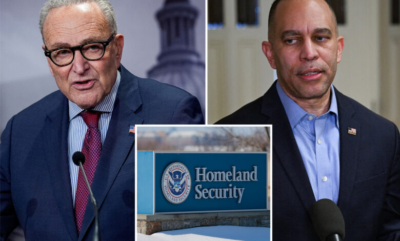 Цхуцк Сцхумер каже да постоје само 3 кључне тачке у гашењу ДХС-а јер хиљаде федералних радника остају неплаћене