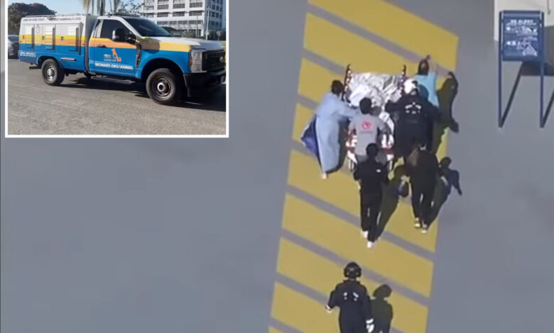 Новорођенче које је породични булдог злобно покварио током промене пелена у кући на Флориди Новорођенче које је породични булдог злобно покварио током промене пелена у кући на Флориди