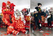 Како тренирати да буде плесач лавова