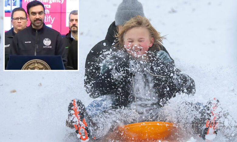 Градоначелник Мамдани најавио ‘пун класични снежни дан’ за студенте Њујорка након негативне реакције учења на даљину