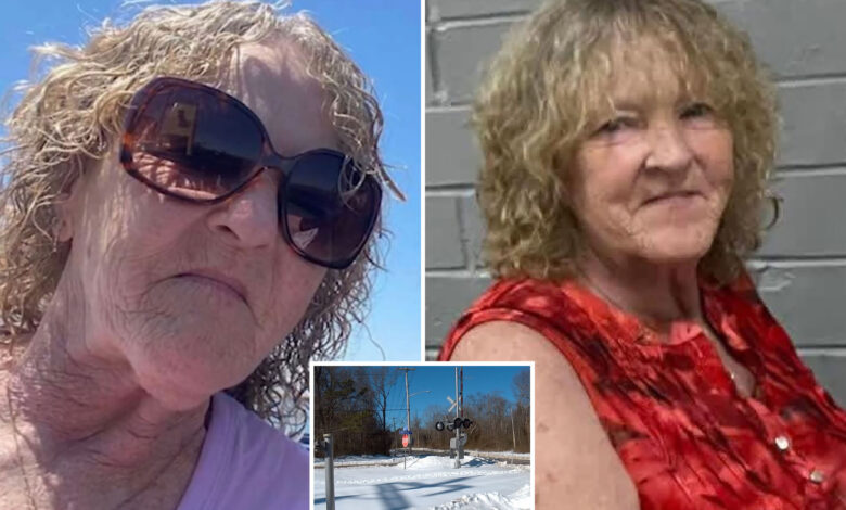 Људски остаци на Лонг Ајленду пронађени у потрази за несталом женом Кетлин Харисон Трент