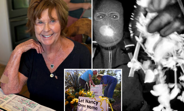 Награда Ненси Гатри се више него удвостручује на 202 хиљаде долара 19. дана претраге