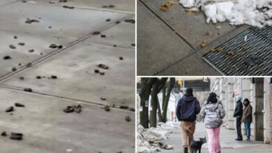 Откривена су подручја Њујорка са највећом изметом – пошто су жалбе на отпад паса достигле рекордне вредности