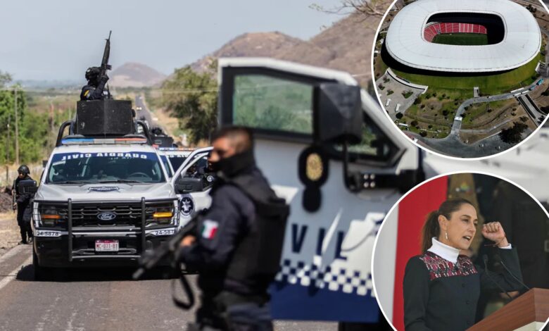 Насиље мексичког картела изазива забринутост за Светско првенство