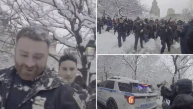 Мафија се спушта у њујоршки парк на епску борбу грудвама – али сцена постаје хаотична док мучи полицајце Мафија се спушта у њујоршки парк на епску борбу грудвама – али сцена постаје хаотична док мучи полицајце