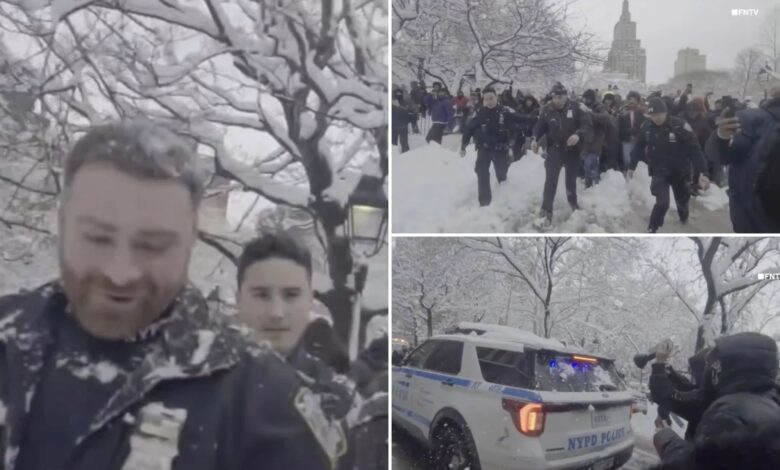 Мафија се спушта у њујоршки парк на епску борбу грудвама – али сцена постаје хаотична док мучи полицајце