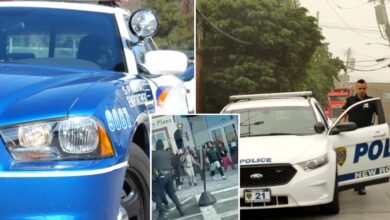 Полицајци округа Вестчестер спремни да нападну након преузимања тинејџерске мафије у тржном центру у Њујорку