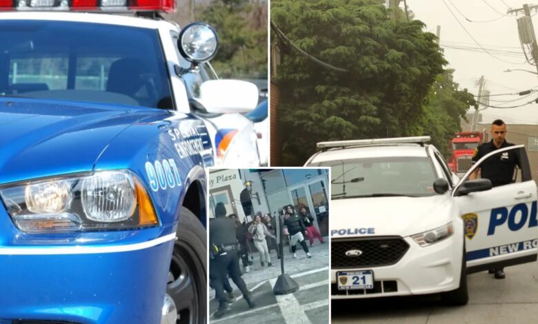 Полицајци округа Вестчестер спремни да нападну након преузимања тинејџерске мафије у тржном центру у Њујорку