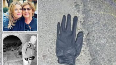 Пар из Аризоне пронашао је крваву црну рукавицу, крв на камену у пустињској миљи од куће Нанци Гутхрие Пар из Аризоне пронашао је крваву црну рукавицу, крв на камену у пустињској миљи од куће Нанци Гутхрие