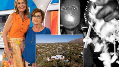 Истражитељи Нанци Гутхрие постављају напредни детектор Блуетоотх сигнала у покушају да пронађу пејсмејкер