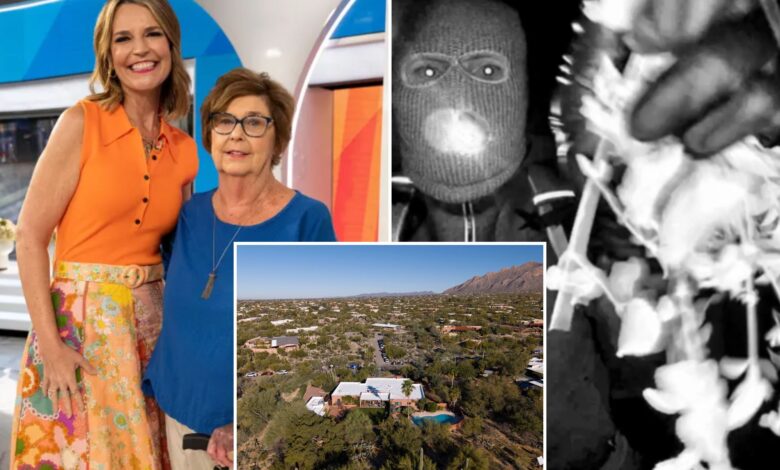 Истражитељи Нанци Гутхрие постављају напредни детектор Блуетоотх сигнала у покушају да пронађу пејсмејкер