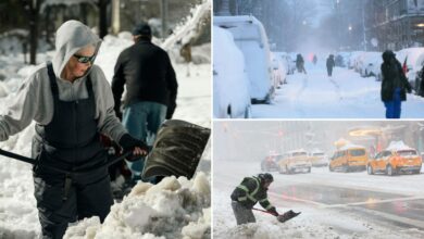 Шест мртвих на Лонг Ајленду од овонедељне снежне олује: званичници