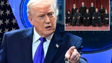 Трамп је Брета Каваноа назвао својим новим херојем након одлуке Врховног суда о царинама