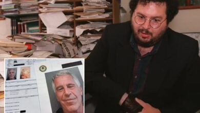 Професор са Јејла Дејвид Гелернтер суспендован јер је препоручио студенткињу „згодну плавушу“ за Епстајнов посао