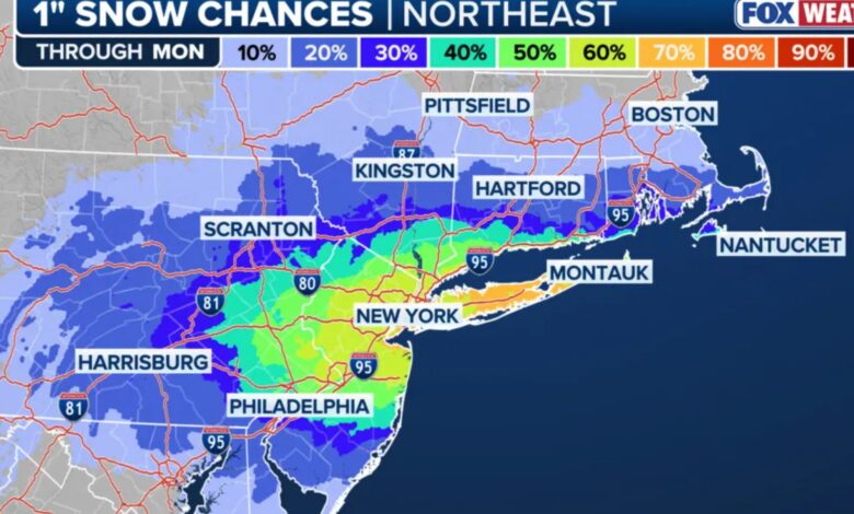 Њујорк се спрема за снег до 3 инча током ноћи у недељу