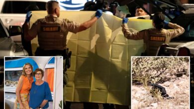 Пензионисани агент ФБИ-ја Џејсон Пек позива на брзо ДНК тестирање у случају Ненси Гатри, наглашавајући трку са сатом: ‘Сваки сат је битан’