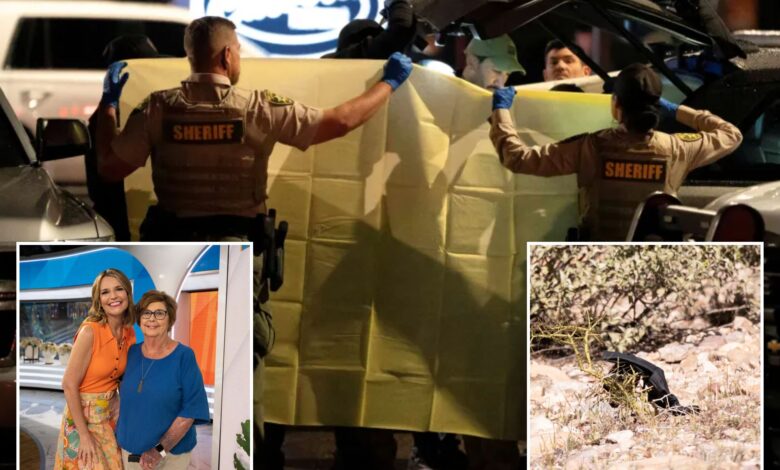 Пензионисани агент ФБИ-ја Џејсон Пек позива на брзо ДНК тестирање у случају Ненси Гатри, наглашавајући трку са сатом: ‘Сваки сат је битан’ Пензионисани агент ФБИ-ја Џејсон Пек позива на брзо ДНК тестирање у случају Ненси Гатри, наглашавајући трку са сатом: ‘Сваки сат је битан’