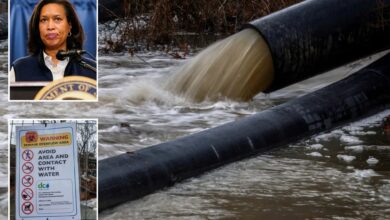 Градоначелник ДЦ Боузер прогласио хитне позиве за Трампову помоћ око цурења канализације у реку Потомак