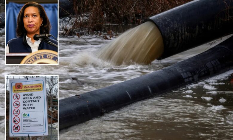 Градоначелник ДЦ Боузер прогласио хитне позиве за Трампову помоћ око цурења канализације у реку Потомак
