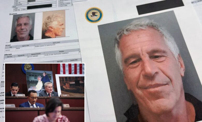 Конгрес ће прегледати нередиговане Епстеинове датотеке које је објавило Министарство правде Конгрес ће прегледати нередиговане Епстеинове датотеке које је објавило Министарство правде