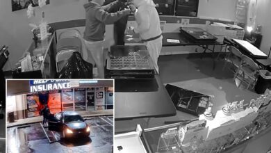 Лопови украду 180.000 долара у Покемон картицама након што су пресекли зид у калифорнијској продавници колекционарских предмета