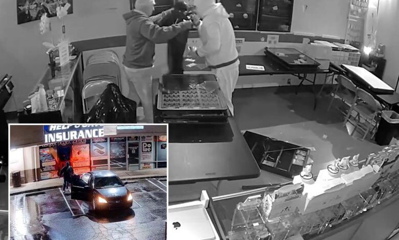 Лопови украду 180.000 долара у Покемон картицама након што су пресекли зид у калифорнијској продавници колекционарских предмета Лопови украду 180.000 долара у Покемон картицама након што су пресекли зид у калифорнијској продавници колекционарских предмета