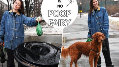 Манекенка из Уппер Вест Сидеа крунисана је ‘Пооп Фаири’ за чишћење пасјег срања