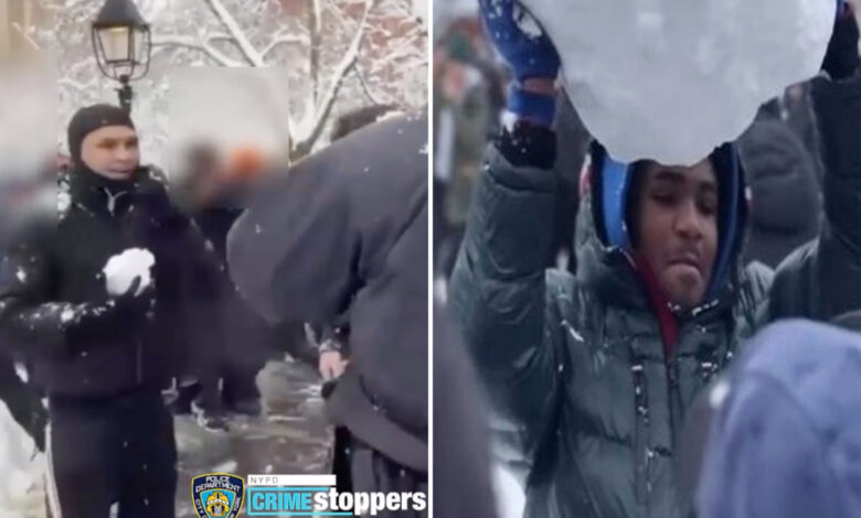 На новим фотографијама се траже 2 мушкарца јер су полицајце њујоршке полиције засули снегом На новим фотографијама се траже 2 мушкарца јер су полицајце њујоршке полиције засули снегом