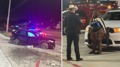 Жена из Тексаса у кожном доњем вешу и мрежама наводно је ударила у БМВ док је била пијана