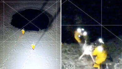 Ватрогасци из Масачусетса спасили пса из залеђеног језера